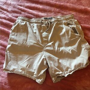American Eagle Outfitters Men's Beige Flat Front Shorts